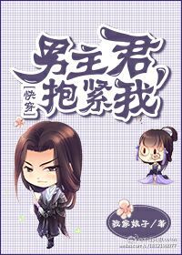 将军夫人历险记